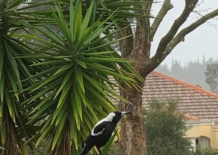 Serendipity - In Town - Margaret River