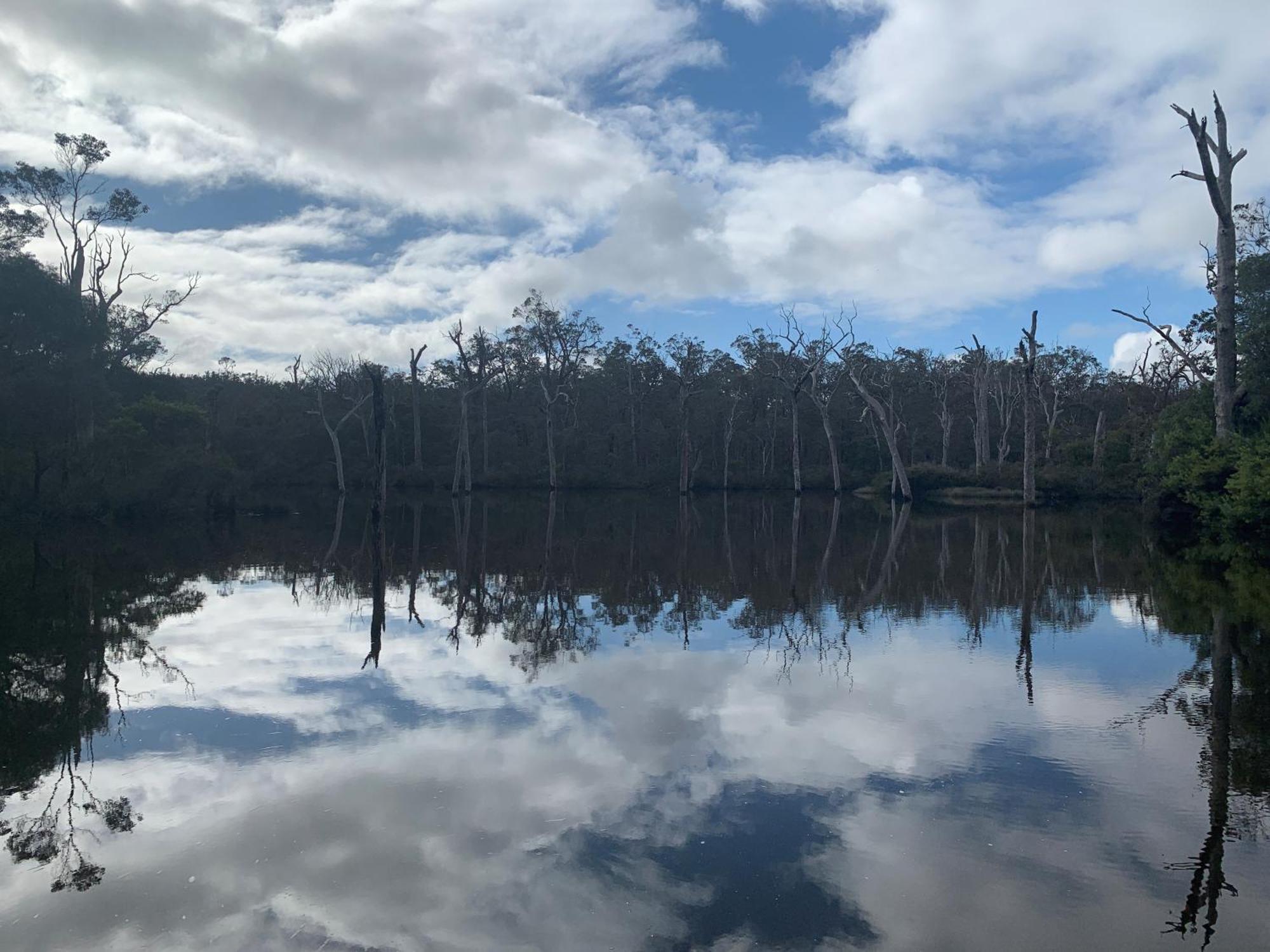 Serendipity - In Town - * Margaret River